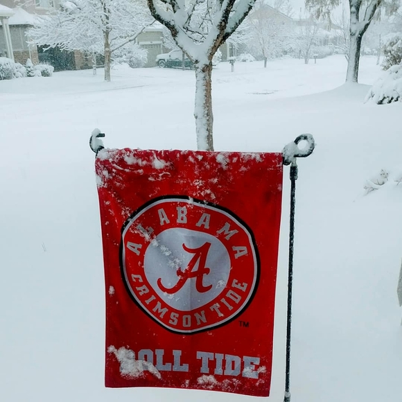 Meet your Posher, Candice - Picture 5 of 10